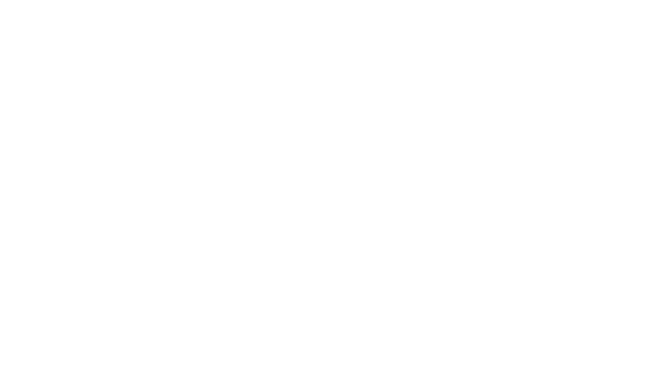 volkswagen nzlog
