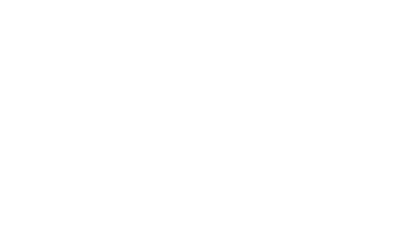 leo madeiras nzlog
