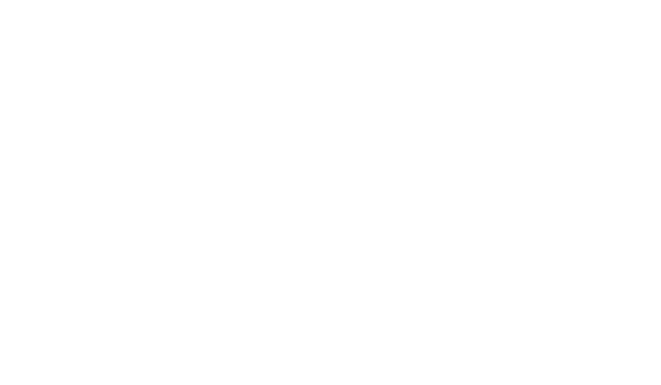 bosh nzlog