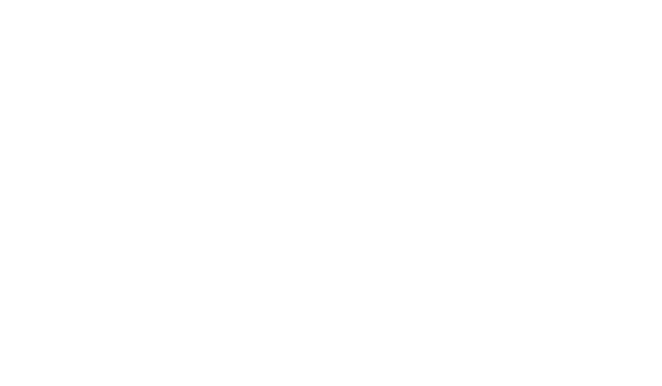jadlog nzlog