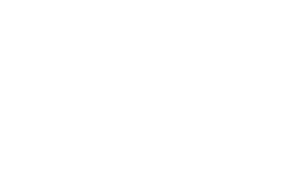 sbt nzlog